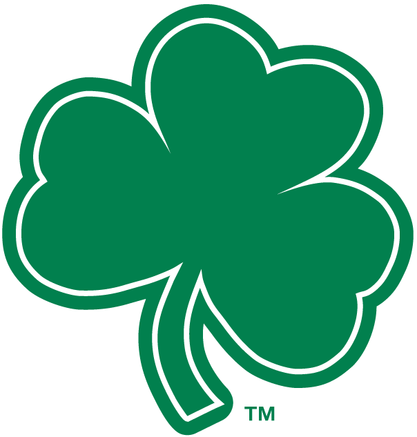 Notre Dame Fighting Irish 1994-Pres Alternate Logo v7 iron on transfers for fabric